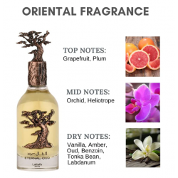 Eternal Oud – Eau de Parfum Unisexe 100ml - Lattafa Pride