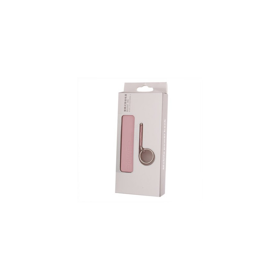 Batterie de secours 2600mAh pour iPhone / smartphone / tablette 