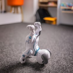 Chien télécommandé MXRD-100 commandes vocales en anglais Maxlife - blanc