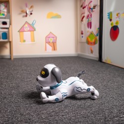 Chien télécommandé MXRD-100 commandes vocales en anglais Maxlife - blanc