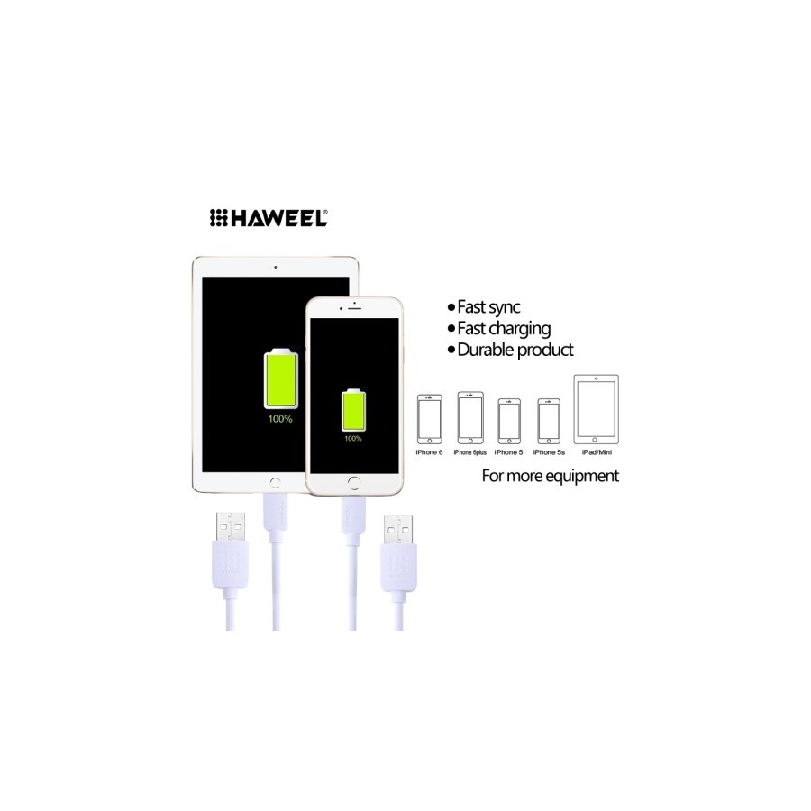 Câble Lightning USB iOS9 1m - iPhone 5/5S/5C, 6/6S, 6 Plus/6S PLus 