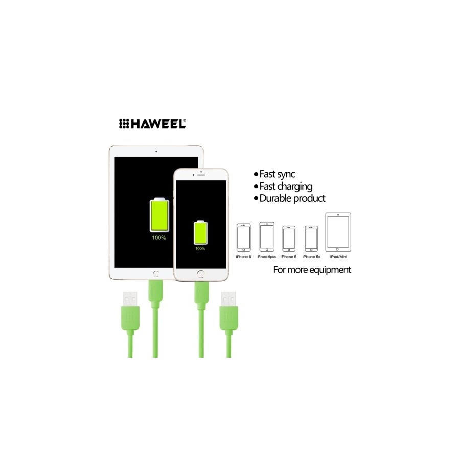 Câble Lightning USB iOS9 1m - iPhone 5/5S/5C, 6/6S, 6 Plus/6S PLus 