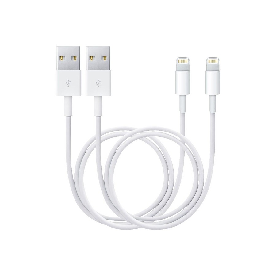 2 câbles Lightning vers connecteur USB Blanc 1 mètre