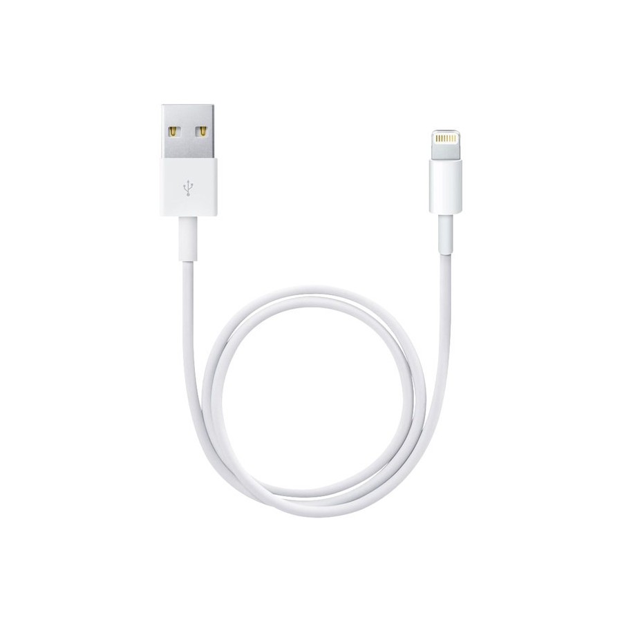 Câbles Lightning vers connecteur USB Blanc 1 mètre