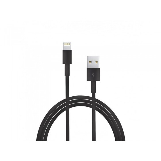 Câbles Lightning vers connecteur USB Noir 1 mètre