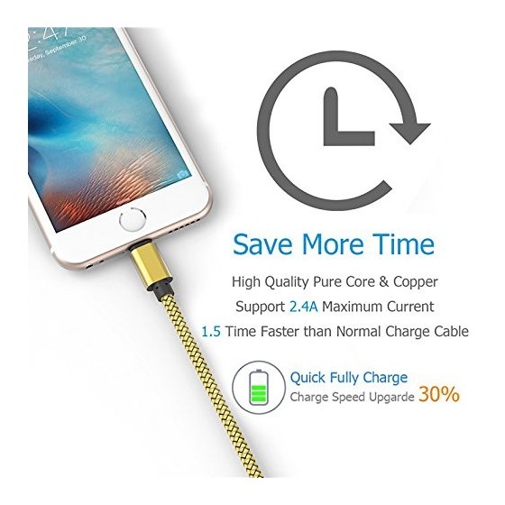 Câble USB Lightning 3m tressé incassable pour iPhone et iPad – Or 