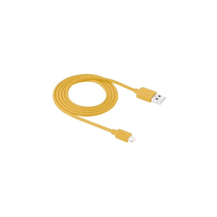Câble Lightning USB iOS9 1m - iPhone 5/5S/5C, 6/6S, 6 Plus/6S PLus 