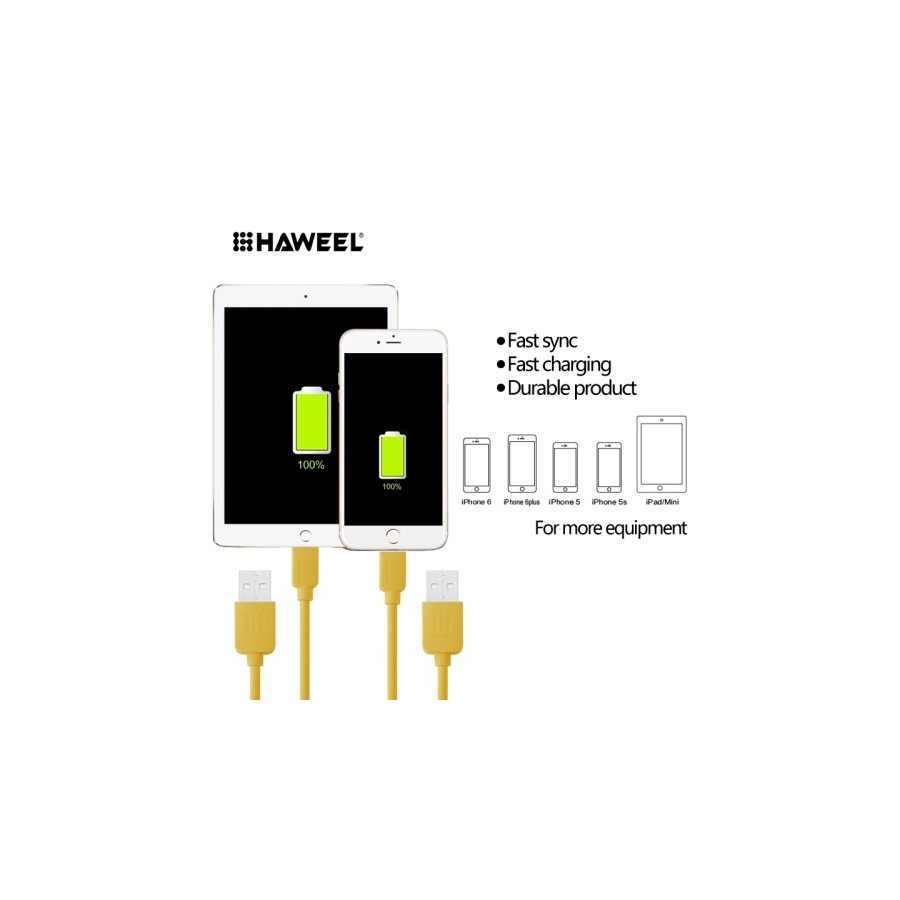 Câble Lightning USB iOS9 1m - iPhone 5/5S/5C, 6/6S, 6 Plus/6S PLus 